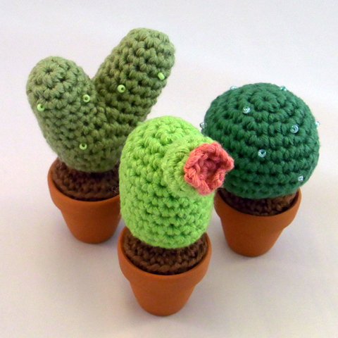 cactus1