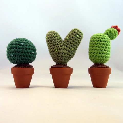 cactus2